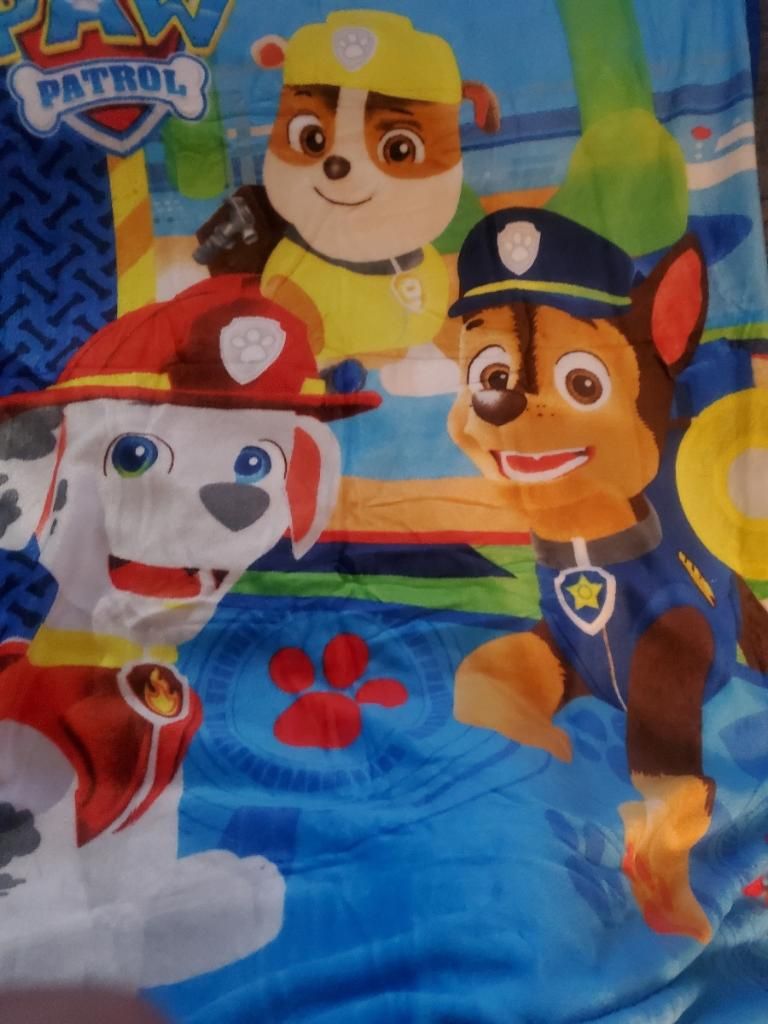 Paw Patrol Blanket