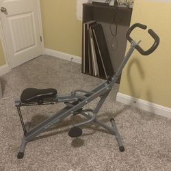 Sunny Row-N-Ride Squat Assist Rowing Machine