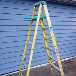 Werner 7 Ft Ladder 