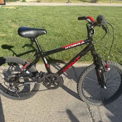 20” Kent Kobra Bike