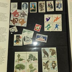 Miny St A mp Collectim