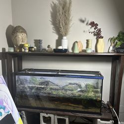 55 Gallon Fish Tank And Stand