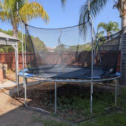 Free Trampoline