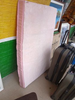 Pet Mattress/Bed