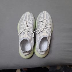 Alien Yeezy Size 10
