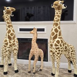 Jirafas 