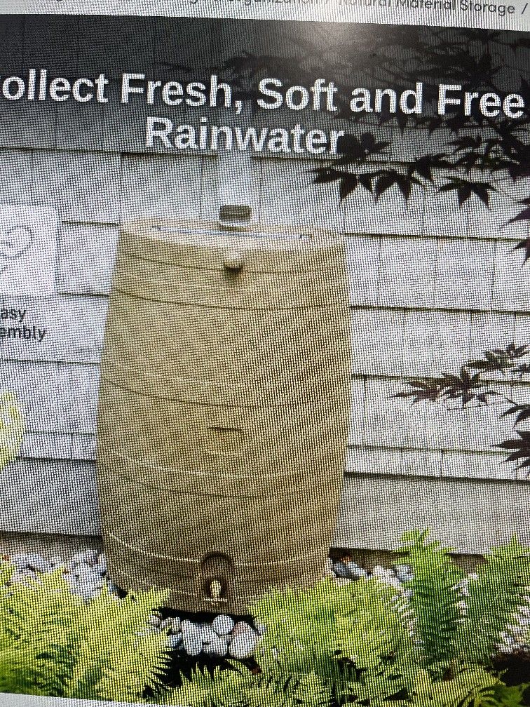 rainwater barrel