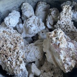 Salt Water Rocks