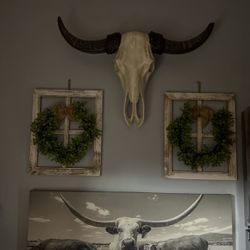 Bull Ranch Head / & Long Horn Wall Art Frame Hobby Lobby 