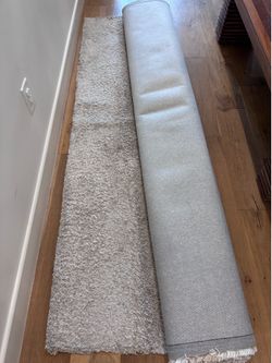 8x10 beige shag rug