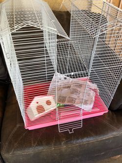 hámster cage