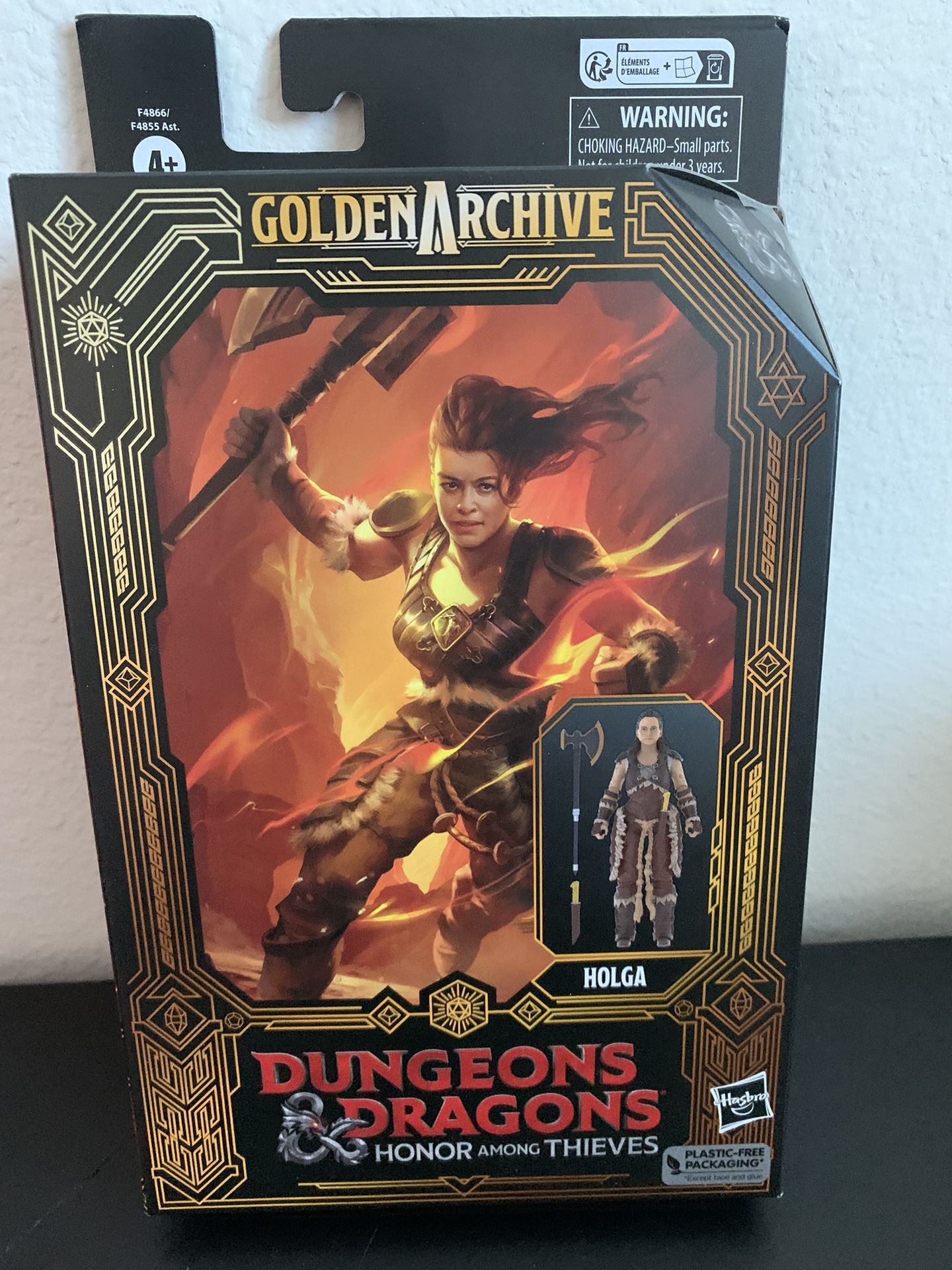 Dungeons & Dragons - Holga