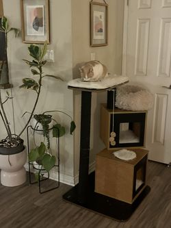 Catit Vesper Modern Double Wood Cat Tree / Tower – Large Designer Style