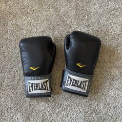 Everlast Boxing Glove 14 Oz