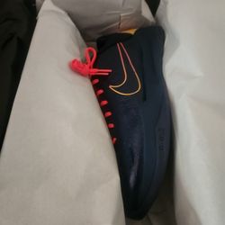 Nike Kobe  5 Protron Caitlin Clark Size 13