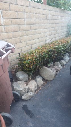 Free Large Rocks