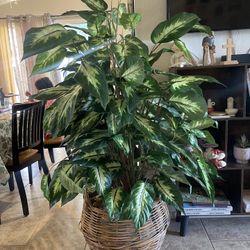 Artificial plant