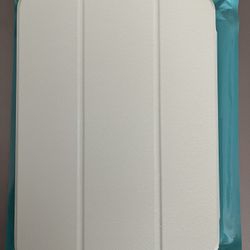 iPad Mini Case