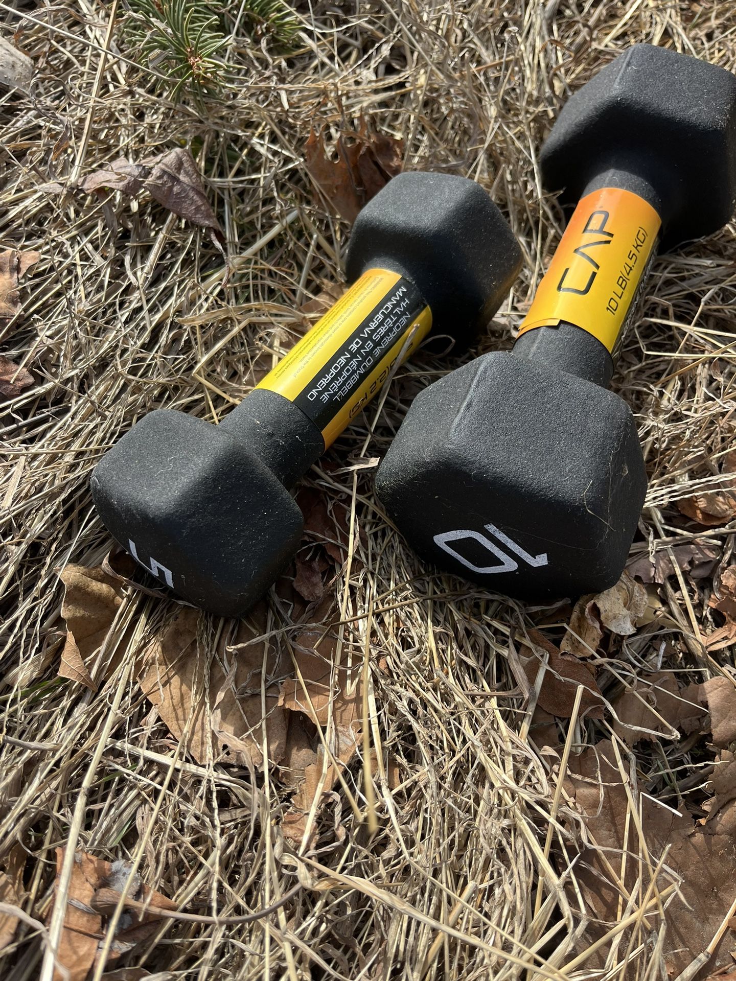 CAP Neoprene Dumbbells
