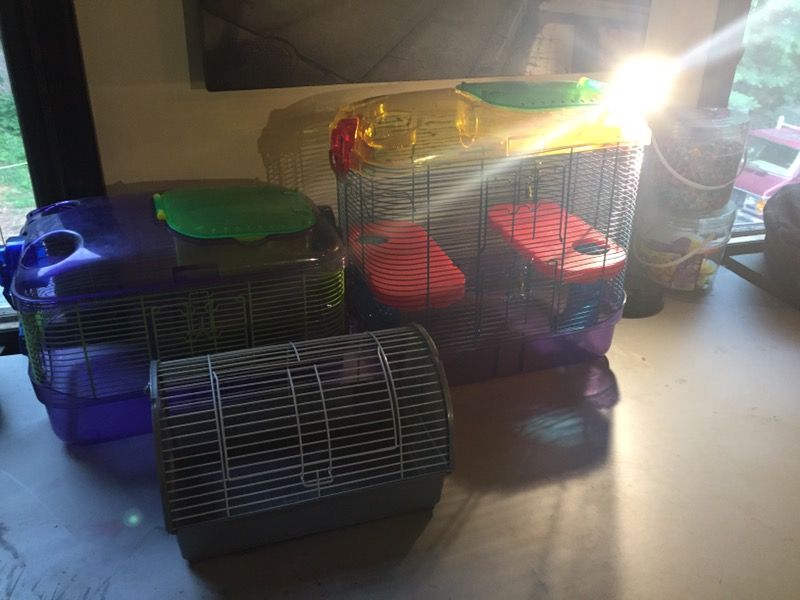 Hamster Full Setup Cage, Toys, Tubes