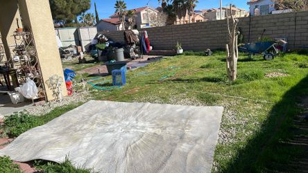  New Area Carpet/ Alfombra  Nueva / New 8x10 Pies/ Feet 8x10 