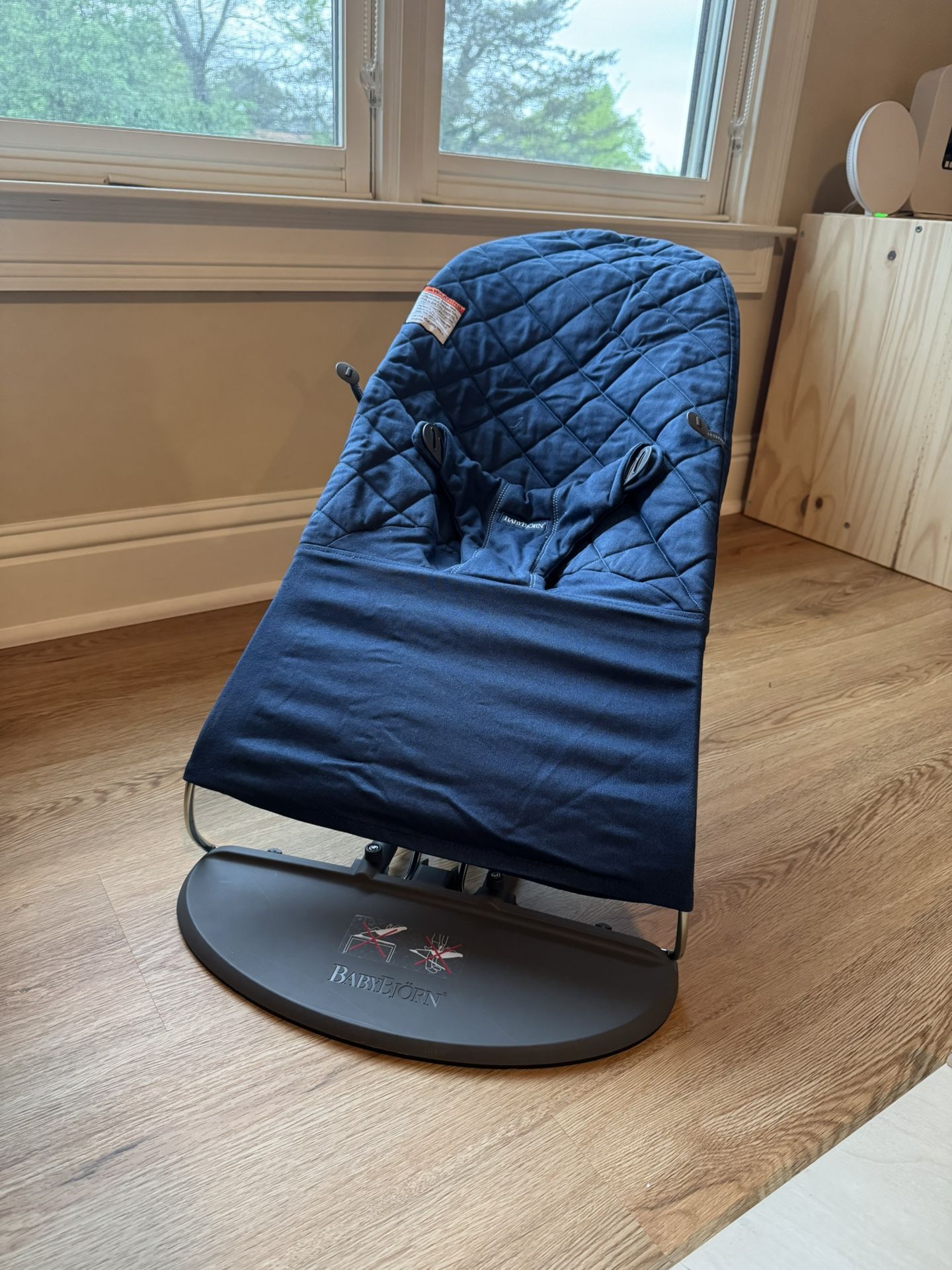 Baby Bjorn bouncer
