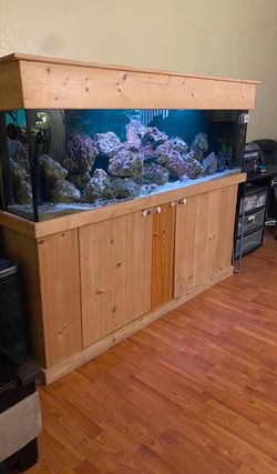 125 Gallon Salt Water Tank, Stand & Canopy.