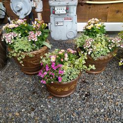 3 Flower Pots From Molbak's 