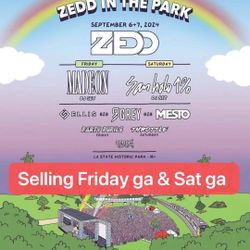 selling 9.6&9.7 zedd in the park 