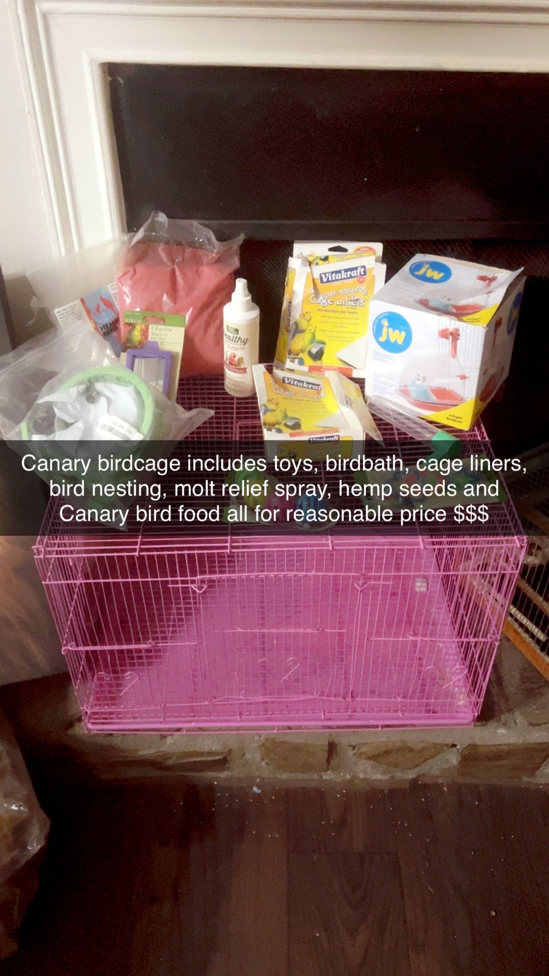 Canary Bird Cage