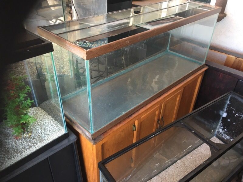 60 gallon aquarium fish tank