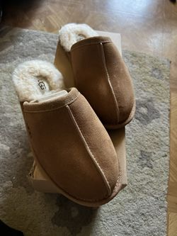 UGGS 