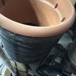 Plant Pots