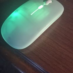 Wireless USB Cordless Mouse