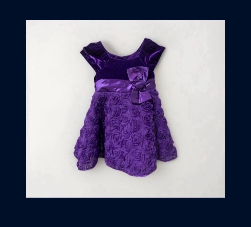2T Purple Dress Rose Flower 24 Months Velvet 4 Layer Skirt Button Up Bow Short Sleeve
