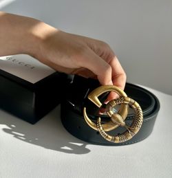 Gucci belt