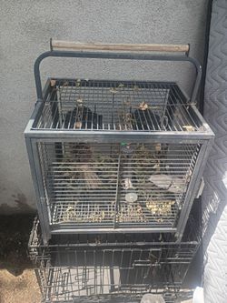 Bird cage