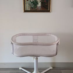 Swivel Bassinet