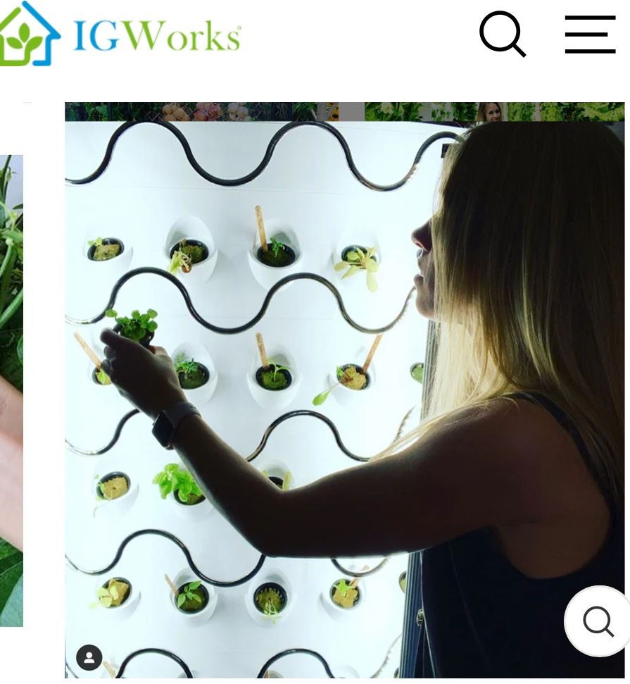 Large Hydroponics Set-up: IHarvest By iGrow