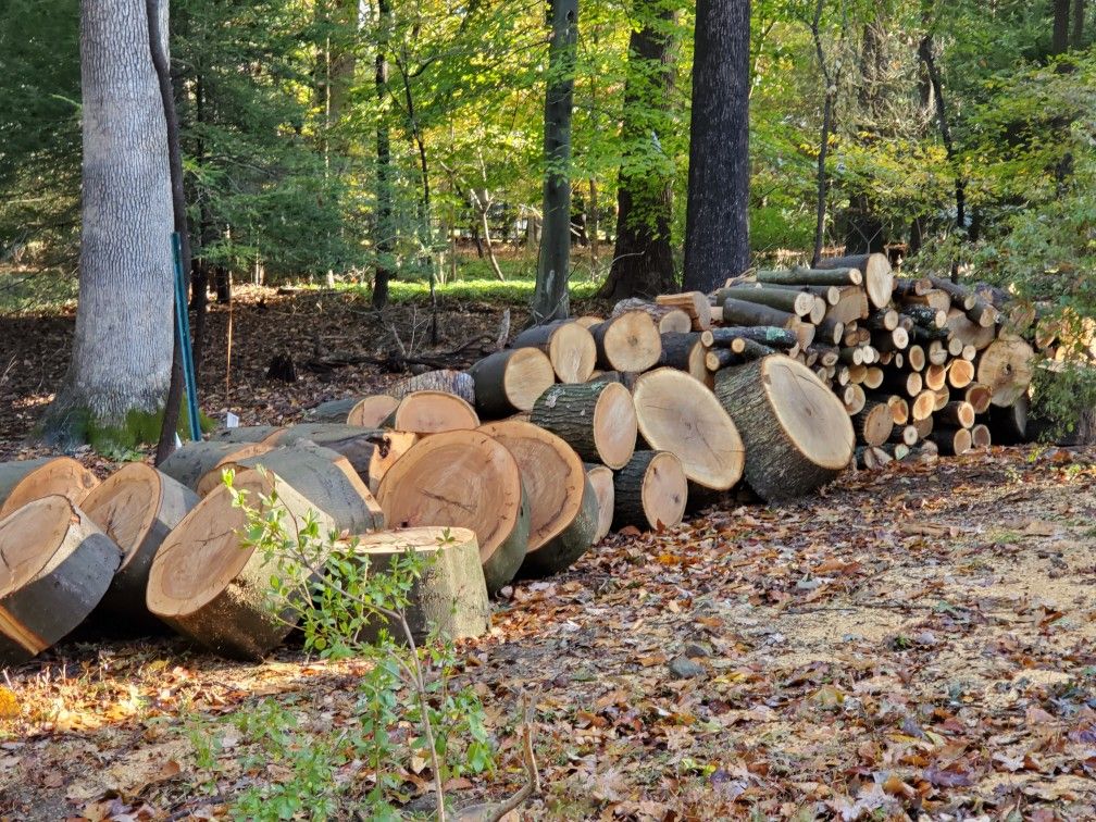 Firewood $50.00 a pickup truck load. New in Doylestown, PA. All different sizes.