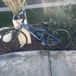 Raleigh Mountain Scout Bike Atomic 13 SL Aluminum 