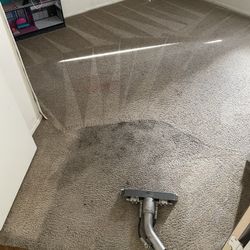 Besst Carpet Cleaner 