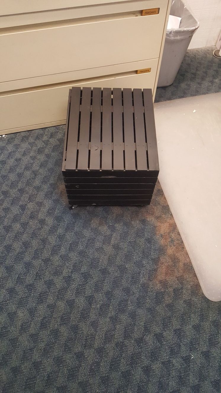 File cabinet/decorative storage box