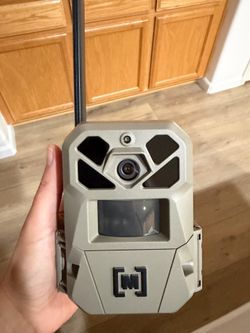Cellular trail camera