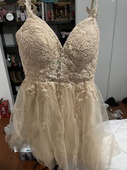 champagne Dress