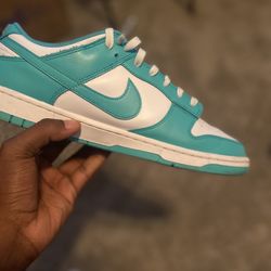 Light Blue Nike Dunk Low