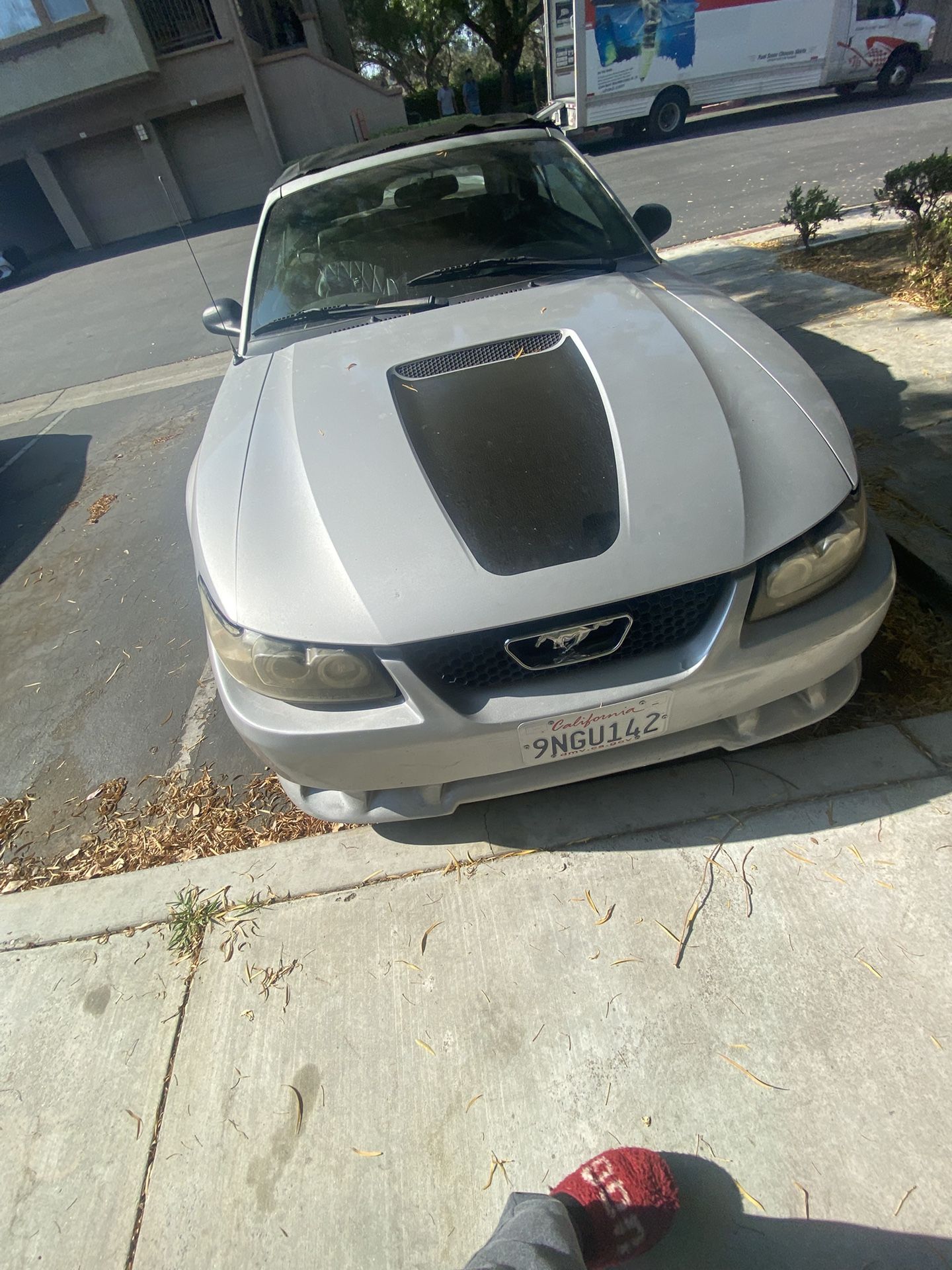 1999 Ford Mustang