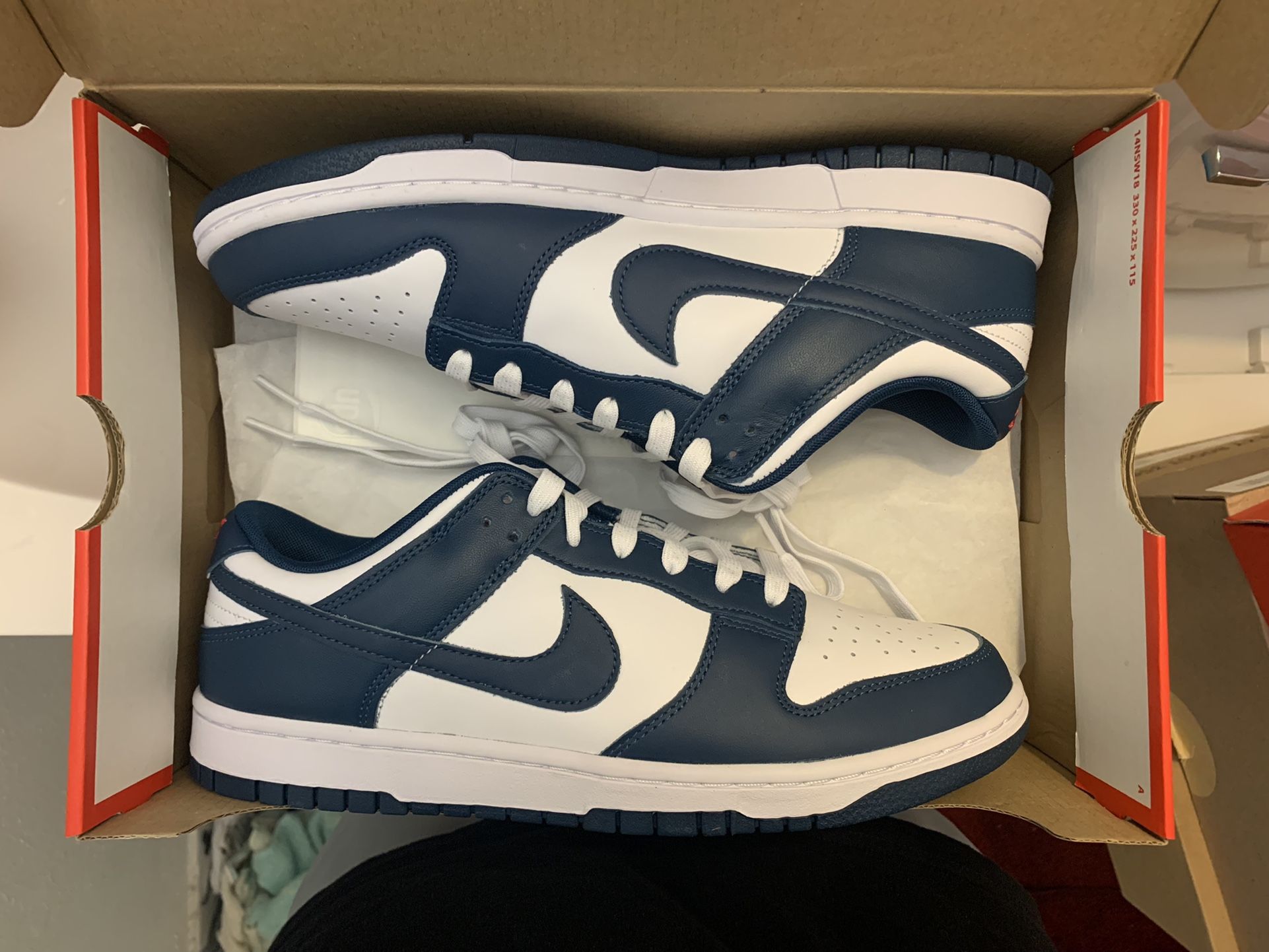 Ds Nike Air Dunk Low Valierian Size 10.5