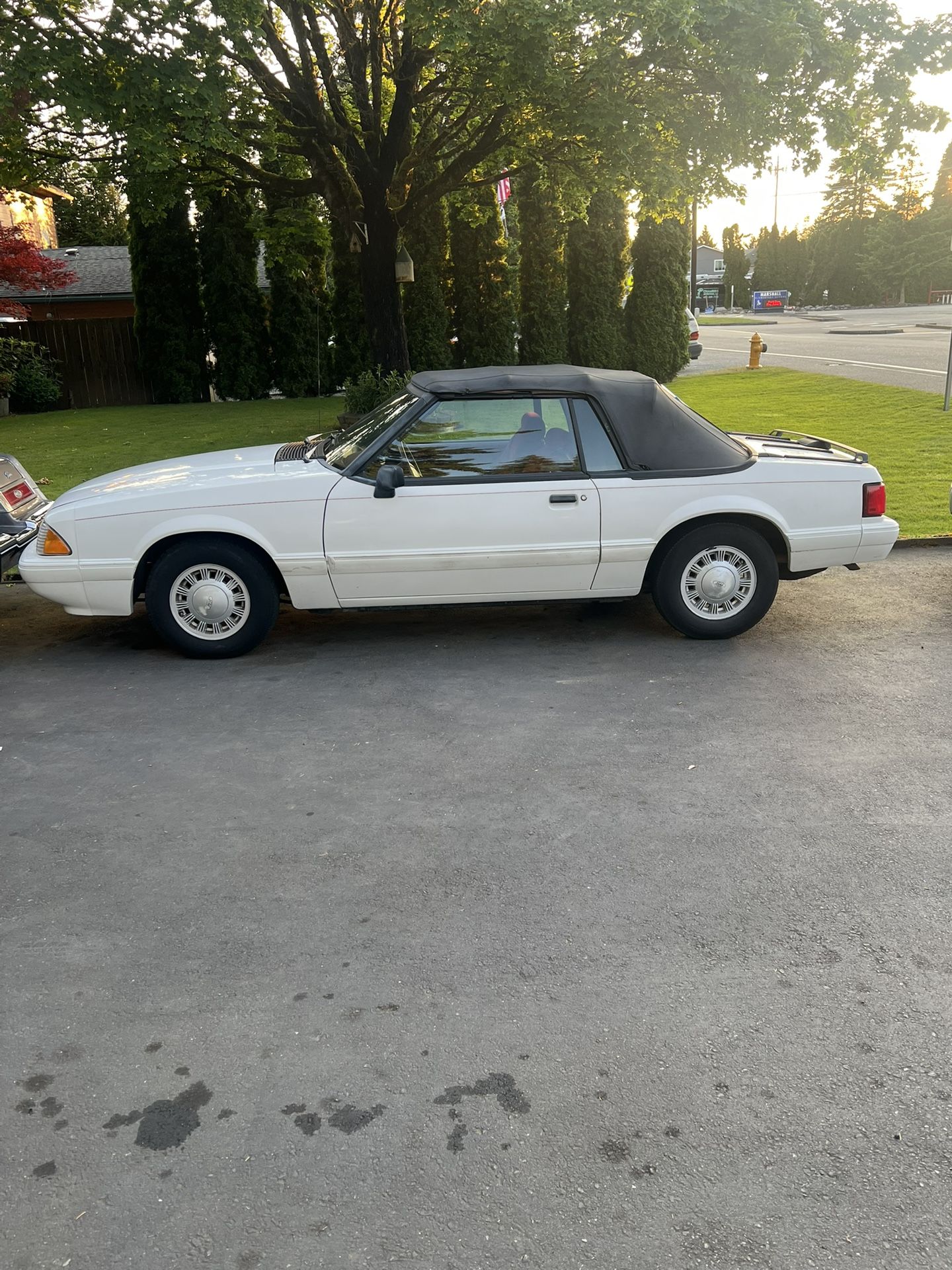 1983 Ford Mustang