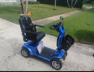 Golden companion scooter